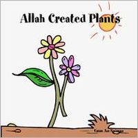 Allah Created Plants