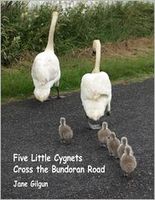 Five Little Cygnets Cross the Bundoran Road