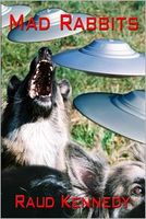 Cover of Mad Rabbits by Raud Kennedy