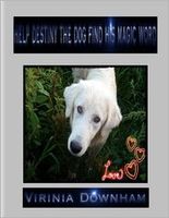 Cover of Help Destiny the Dog Find His Magic Word by Virinia Downham