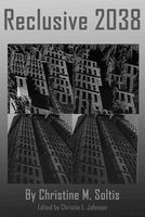Cover of Reclusive 2038 by Christine Soltis