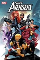 New Avengers Vol. 2 : The Other Woman book cover