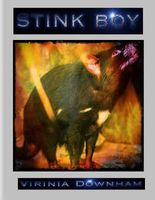 Cover of Stink Boy by Virinia Downham