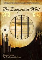 The Labyrinth Wall