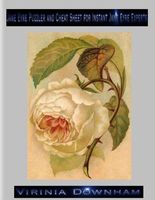 Cover of Jane Eyre Puzzler and Cheat Sheet for Instant Jane Eyre Experts by Virinia Downham