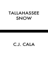 Tallahassee Snow