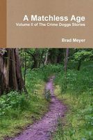 Cover of A Matchless Age by Brad Meyer