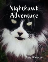 Nighthawk Adventure