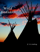 eBook edition cover