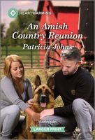 An Amish Country Reunion