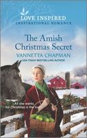 The Amish Christmas Secret