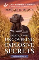 Large Print edition cover