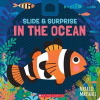 Slide & Surprise in the Ocean
