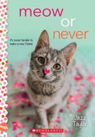 Meow or Never