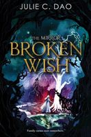 The Mirror Broken Wish