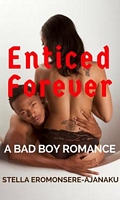 eBook edition cover