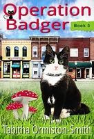 eBook edition cover