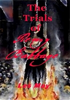 Cover of The Trials of Remy Babbage by Les May