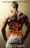 Cover of After the Fire by Mary J. Williams
