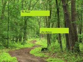 Cover of The Project by Lisa Anderson