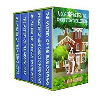 eBook edition cover