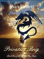 The Privateer Brig