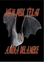 eBook edition cover