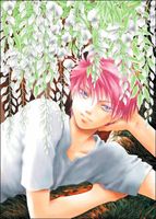 Cover of The Young Magician: Volume 8 by Yuri Narushima
