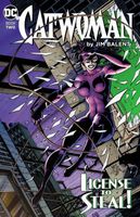 Catwoman by Jim Balent Book Two