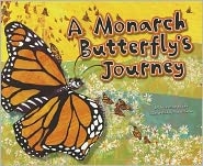 A Monarch Butterfly's Journey
