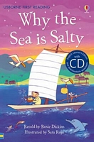 Why the Sea Is Salty?