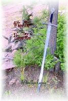 Cover of Where the Heroes Are by Sheryl Lynn Kauspedas