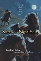 Secret of the Night Ponies