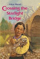 Crossing The Starlight Bridge
