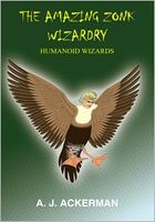 Cover of The AMAZING ZONK WIZARDRY by A.J. Ackerman