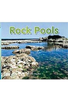 Rock Pools