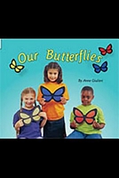 Our Butterflies