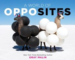 Gray Malin's Latest Book