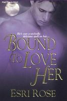 eBook edition cover