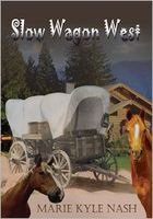 eBook edition cover