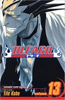 Bleach, Volume 13: The Undead
