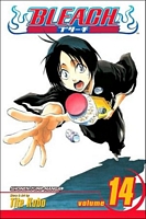Bleach, Volume 14: White Tower Rocks