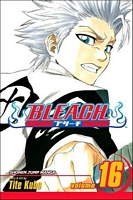 Bleach, Volume 16: Night of Wijnruit