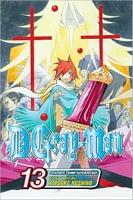 D. Gray-Man, Volume 13