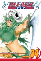 Bleach, Volume 34: King of the Kill