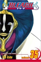 Bleach, Volume 35: Higher Than the Moon