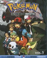 Pokemon Black and White 1