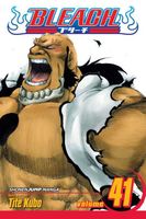 Bleach, Volume 41: Heart