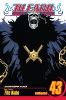 Bleach, Volume 43: Kingdom of Hollows