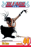 Bleach, Volume 44: Vice It